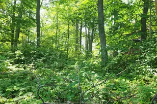 8565 Bear Island Landing NW, Walker, MN 56484 - Photo 6