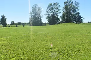 1342 Calvary Rd SE, Osakis, MN 56360 - Photo 4