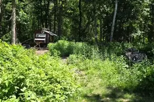 33810 Wild Berry Ln, Pequot Lakes, MN 56472 - Photo 1