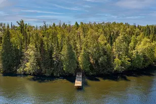 Tbd Gold Island, Tower, MN 55790 - Photo 1
