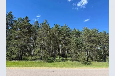 Tbd County 48, Park Rapids, MN 56470 - Photo 4