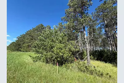 Tbd County 48, Park Rapids, MN 56470 - Photo 10