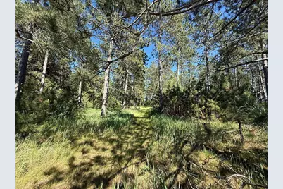 Tbd County 48, Park Rapids, MN 56470 - Photo 6
