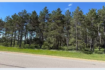 Tbd County 48, Park Rapids, MN 56470 - Photo 1