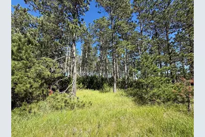 Tbd County 48, Park Rapids, MN 56470 - Photo 14