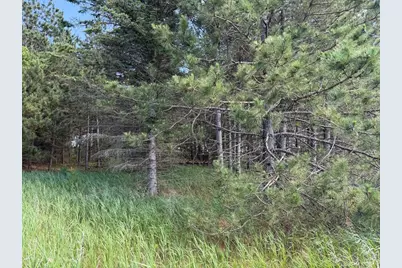 Tbd County 48, Park Rapids, MN 56470 - Photo 18