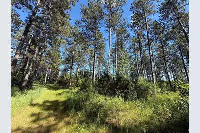 Tbd County 48, Park Rapids, MN 56470 - Photo 16