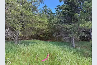 Tbd County 48, Park Rapids, MN 56470 - Photo 12
