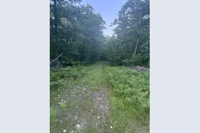 39987 Cass Line Road, Laporte, MN 56461 - Photo 2