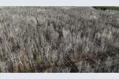 39987 Cass Line Road, Laporte, MN 56461 - Photo 14