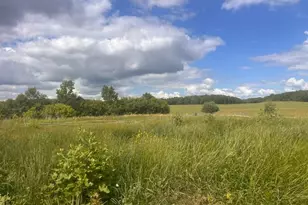 E5973 1370th Ave, Ridgeland, WI 54763 - Photo 18