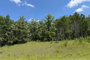 Tbd County 95, Laporte, MN 56461 - Photo 1