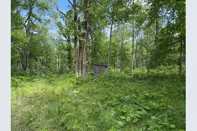 Tbd County 95, Laporte, MN 56461 - Photo 2