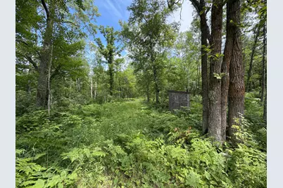 Tbd County 95, Laporte, MN 56461 - Photo 1