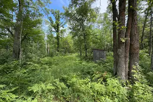 Tbd County 95, Laporte, MN 56461 - Photo 1