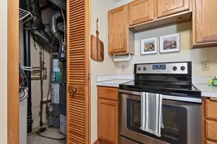 493 Marshland Trail, Chanhassen, MN 55317 - Photo 14