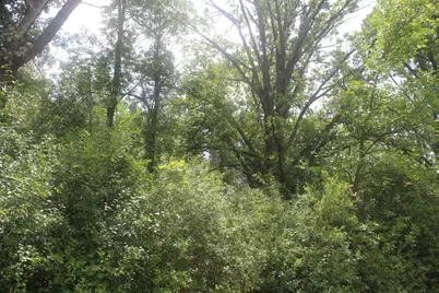 14Xxx Green Meadow Road, Milaca, MN 56353 - Photo 4