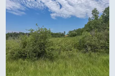 Tbd Grant Hills Road SW, Bemidji, MN 56601 - Photo 6