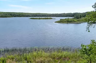 38837 Sissebakwet Shores Rd, Cohasset, MN 55721 - Photo 40