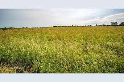 N8780 250th Street, Spring Valley, WI 54767 - Photo 10
