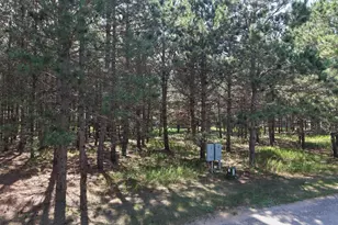 1005 Ladyslipper Ln, Park Rapids, MN 56470 - Photo 1