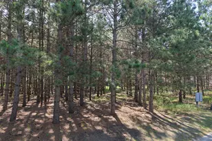 1115 Sunset Loop, Park Rapids, MN 56470 - Photo 1