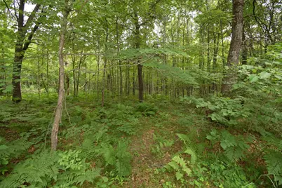 7689 Wood Lane, Webster, WI 54893 - Photo 42