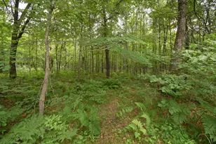 7689 Wood Ln, Webster, WI 54893 - Photo 42