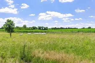 15790 78th St, Mayer, MN 55360 - Photo 16