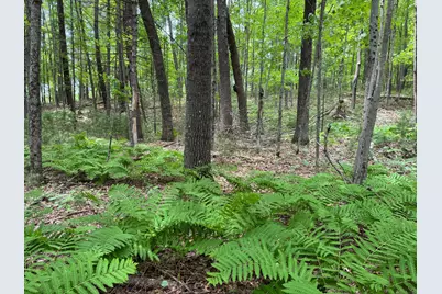 Tbd Garden Dr, Siren, WI 54872 - Photo 4