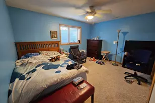 712 Mlinar Ave, Spring Valley, MN 55975 - Photo 22