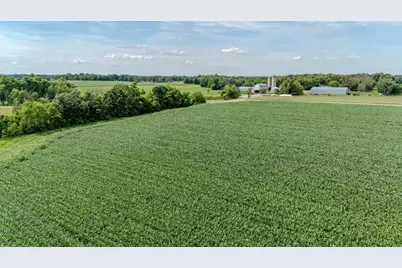 Tbd Cardinal Road, Swanville, MN 56382 - Photo 12