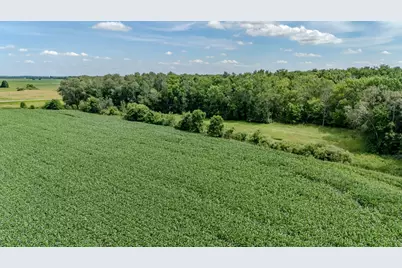 Tbd Cardinal Road, Swanville, MN 56382 - Photo 10