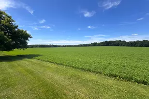 956 280th St, Woodville, WI 54028 - Photo 8
