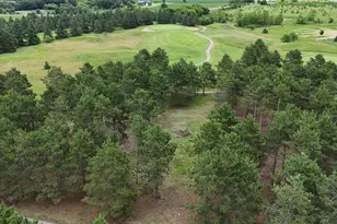 430 Thumper Lodge Rd, Ottertail, MN 56571 - Photo 1