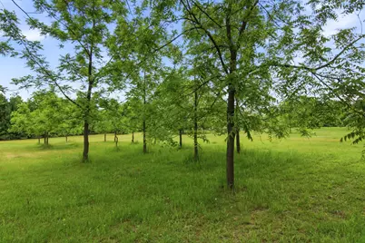 Lot 5 660th Avenue, Elk Mound, WI 54739 - Photo 26