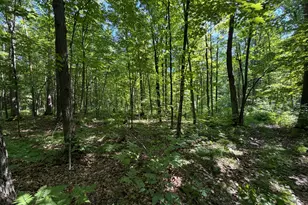 36684 100th Ave, Onamia, MN 56359 - Photo 46