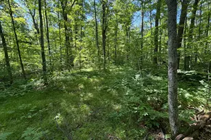 36684 100th Ave, Onamia, MN 56359 - Photo 54