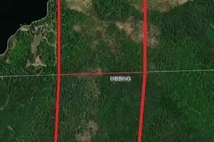 Tbd S Town Line Rd, Hibbing, MN 55746 - Photo 1