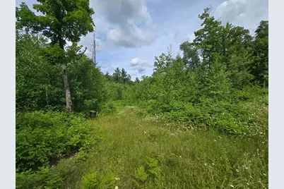 Tbd S Little Boy Drive NE, Longville, MN 56655 - Photo 12
