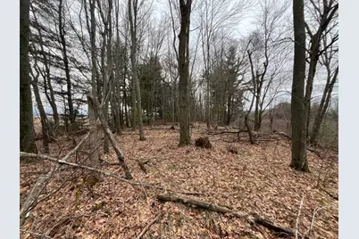 Tbd Ten Mile Drive, Chetek, WI 54757 - Photo 14