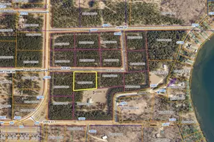 Tbd Lita Ln, Menahga, MN 56464 - Photo 1