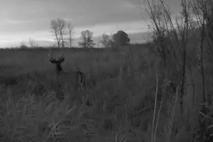 25759 State Hwy 55, Lowry, MN 56349 - Photo 114