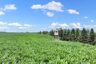 25759 State Hwy 55, Lowry, MN 56349 - Photo 88