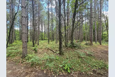 26131 Ostergren Road, Webster, WI 54893 - Photo 8