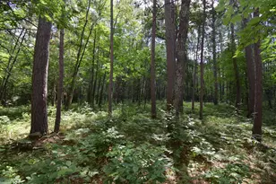 Lot 2 Saylors Ln, Siren, WI 54872 - Photo 1