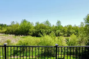 4181 Prairie View Trail, Medina, MN 55340 - Photo 38