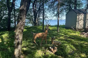 20796 326th Pl, Isle, MN 56342 - Photo 20