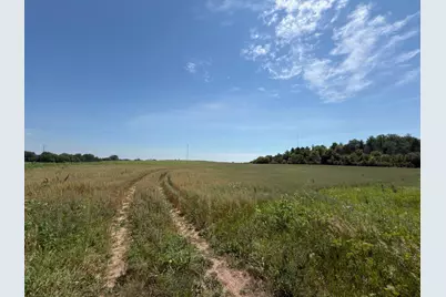 Xxxxx Mn Highway 15, Dassel, MN 55325 - Photo 1