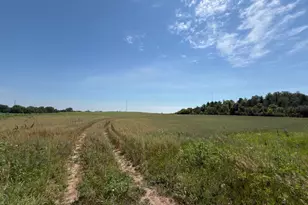Xxxxx Mn Hwy 15, Dassel, MN 55325 - Photo 1